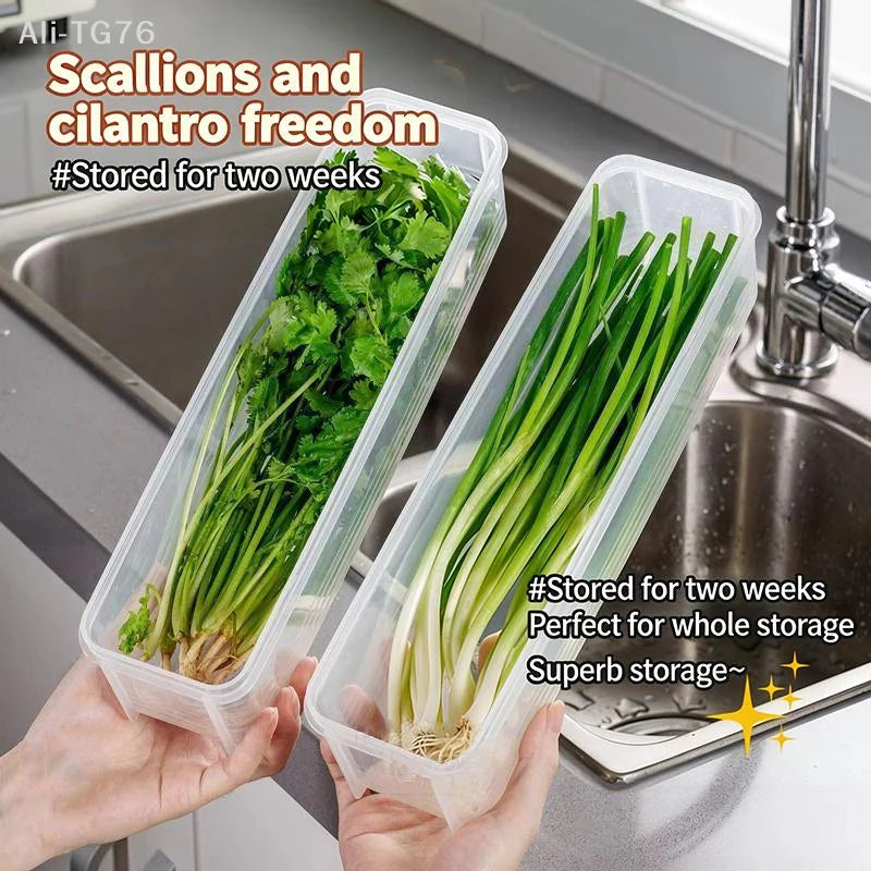 Transparent Sealed Food Storage Box | Fridge Organizer
