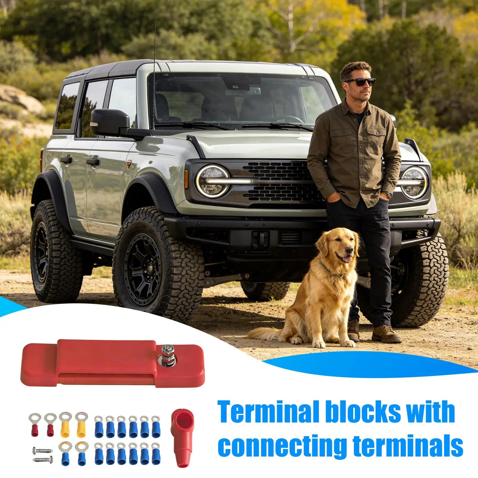 Electrical Terminal Block 12 Position Power Rail Panel Adapter With Cover Terminal Strips Electrical For Boat Marine Automotive Peaceful Pleasures Health and Wellness