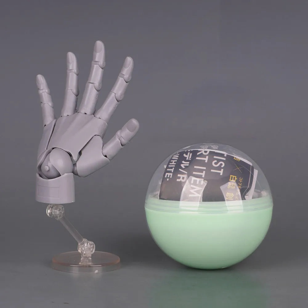 1:2 Scale Articulated Hand Model – Posable Fingers for Artists