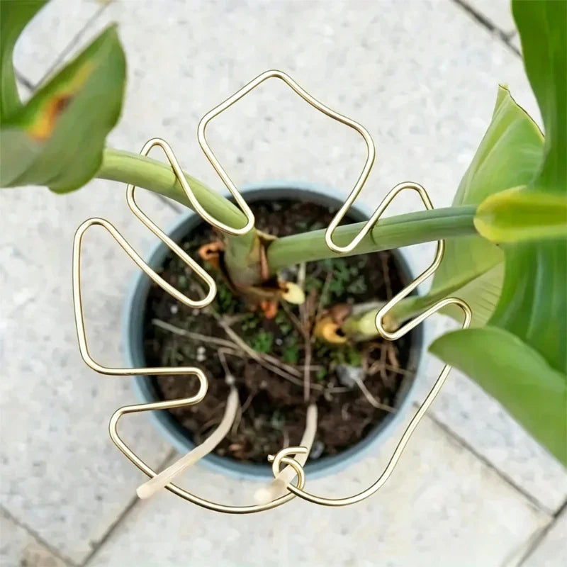 No-Nail Plant Stem Support Clips – Vine & Monstera Stabilizer