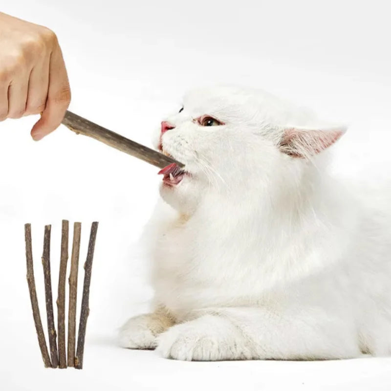 Silvervine Sticks for Cats Natural Catnip Chew Sticks Teeth Molar Chewing Toys for Cat Kitten Kitty Gifts Peaceful Pleasures Health and Wellness