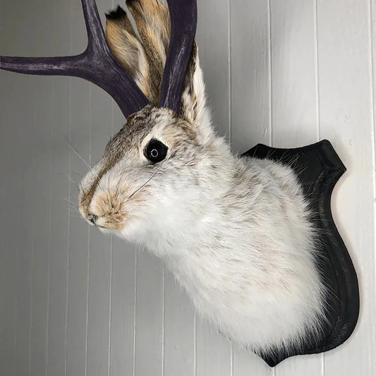Easter Gift Bunny Head Antlers Wall Hanging Decoration Wall Decor Simulation Rabbit Specimen Resin Art Ornaments Jackalope Decor Peaceful Pleasures Health and Wellness color One Size