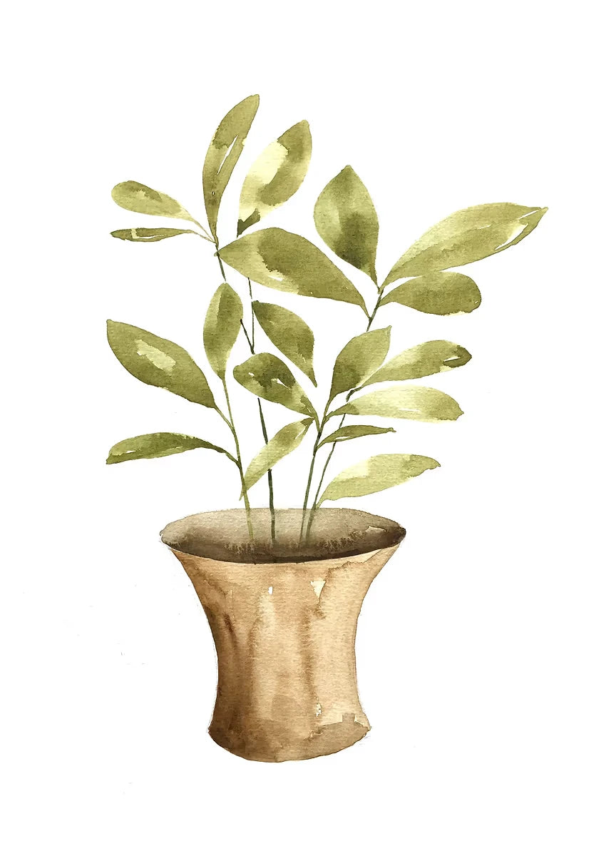 Plant Potted Watercolor Poster Family Garden Houseplant Botanical Canvas Printing Wall Art Picture for Living Room Home Decor Peaceful Pleasures Health and Wellness