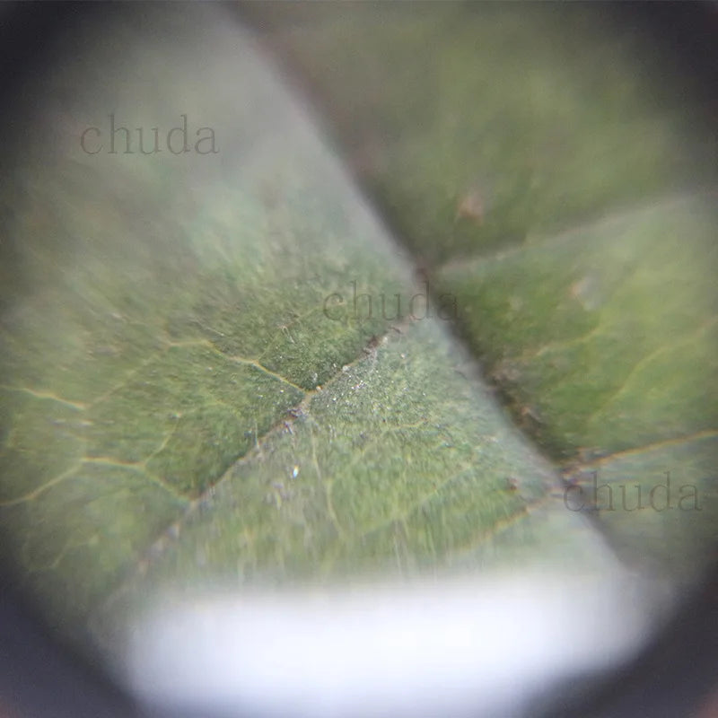 Cylindrical Acrylic Film Slide Collector Negative Film Hd 10X Magnifying Glass Reverse Film Eyepiece Small Cylinder Magnifier Peaceful Pleasures Health and Wellness