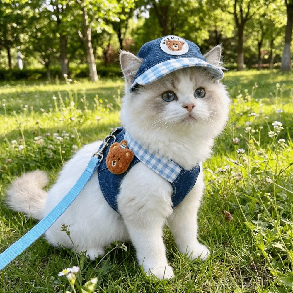 Breathable Dog & Cat Harness Leash Set with Hat | XS–XL
