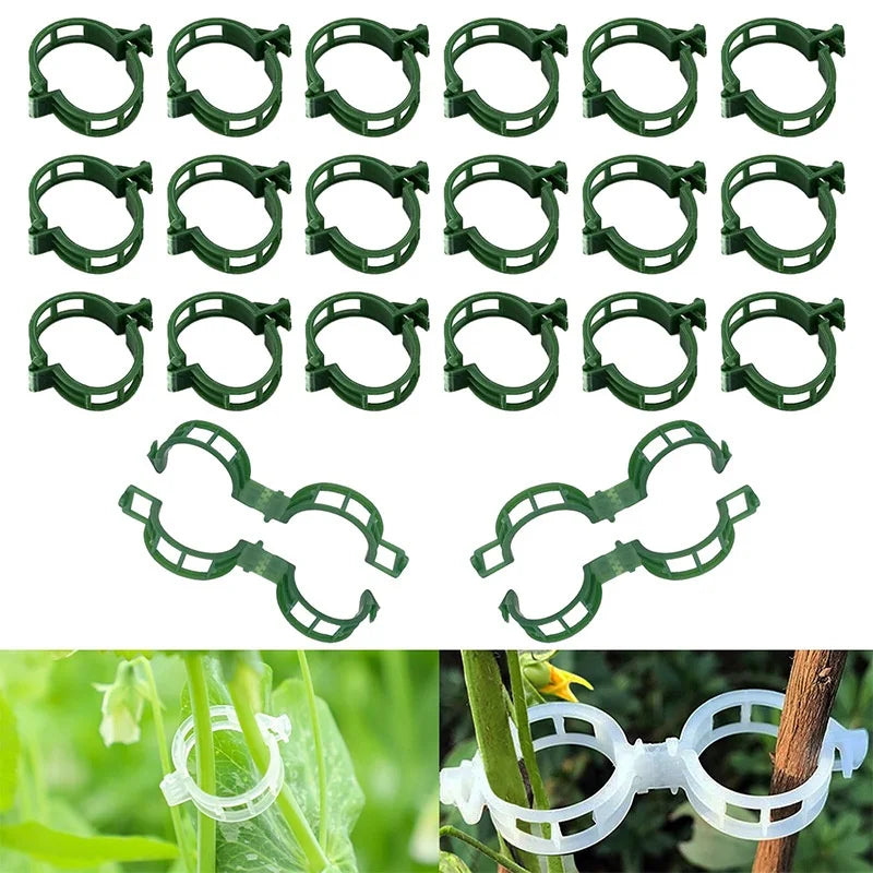Plastic Plant Support Clips for Tomatoes & Climbing Plants Plant Support Clips Peaceful Pleasures Health and Wellness