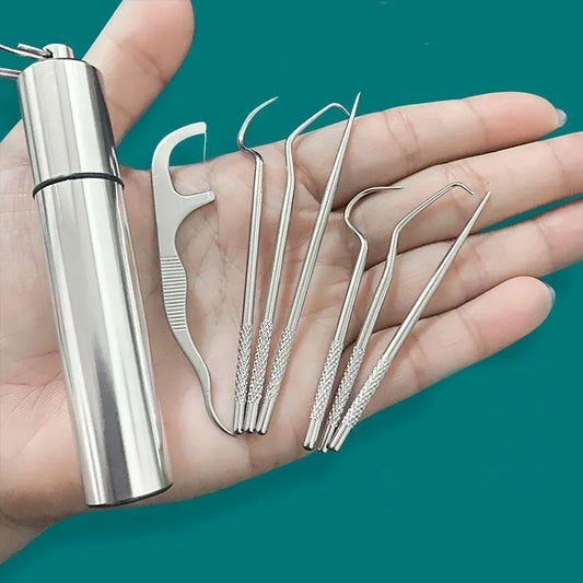 1Set Toothpick Set Metal Stainless Steel Oral Cleaning Tooth Flossing Portable Toothpick Floss Teeth Cleaner with Storage Tube Peaceful Pleasures Health and Wellness