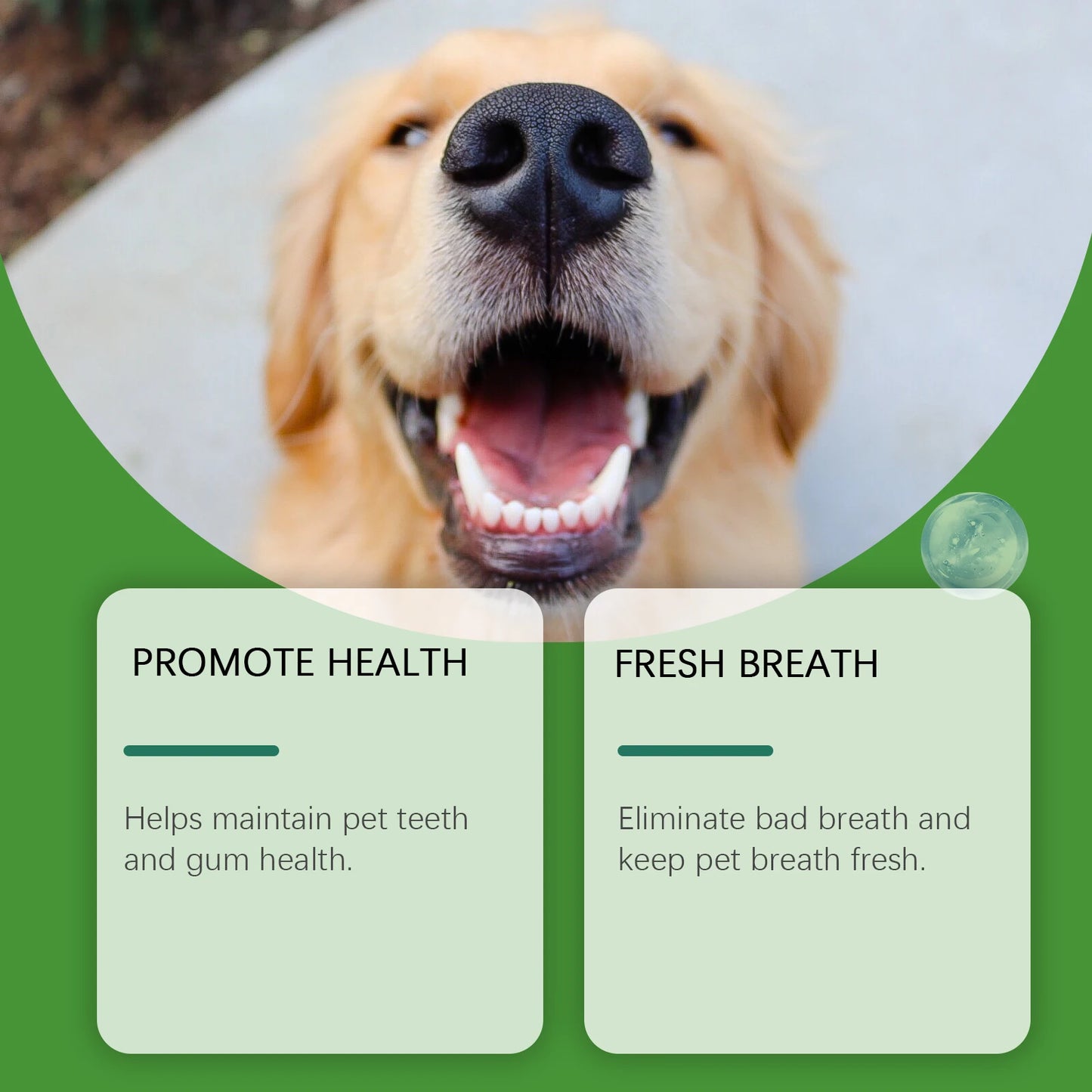 Dog Teeth Cleaning Powder 150g | Tartar & Bad Breath Relief
