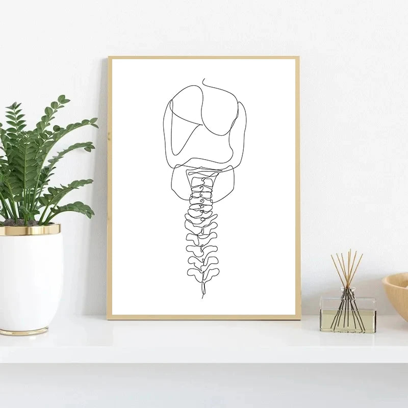Human Anatomy Skeleton Canvas Wall Art | Medical Line Art Poster