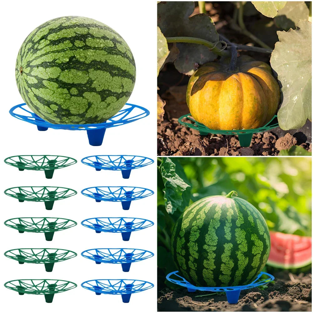 Watermelon & Melon Cradle Nursery Tray – 10-Pack (Blue or Green) Peaceful Pleasures Health and Wellness