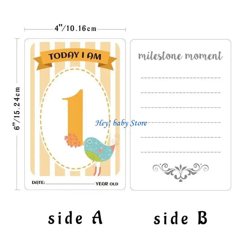 12-Piece Baby Monthly Milestone Cards – Newborn Photo Props