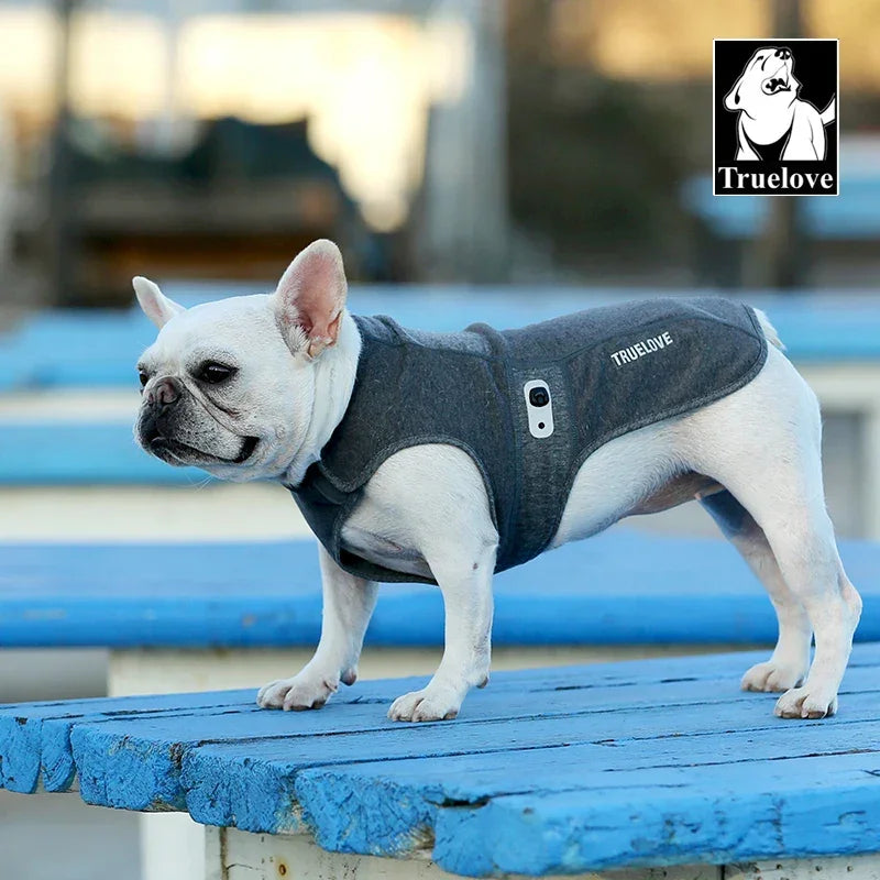 Truelove Anti-Bacterial Pet Coat New Design Pet Apparel Soft Breathable Dog Coat Adjustable Buckle Reflctive Material TLG2521 Peaceful Pleasures Health and Wellness