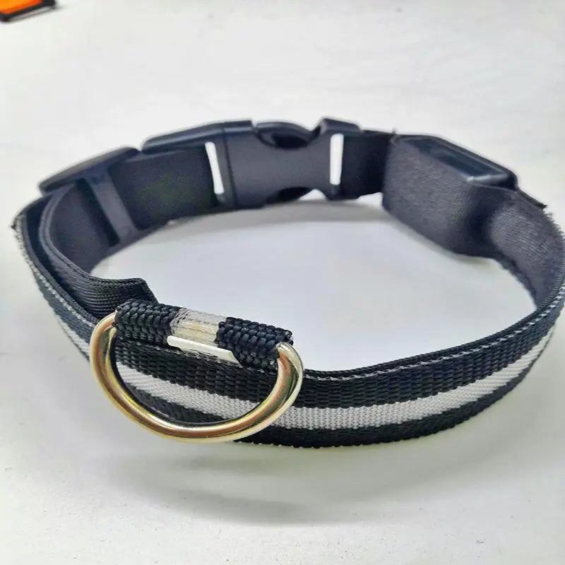 LED Light-Up Dog Collar – Glowing Safety Collar for Night Walks