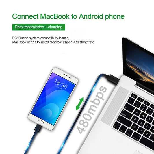Type-C to Micro USB OTG Cable 30cm/100cm | Fast Data & Charging USB OTG Cable Oasis Select 0.3m