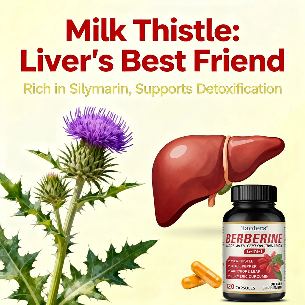 Berberine & Ceylon Cinnamon Capsules – Blood Sugar & Heart Support