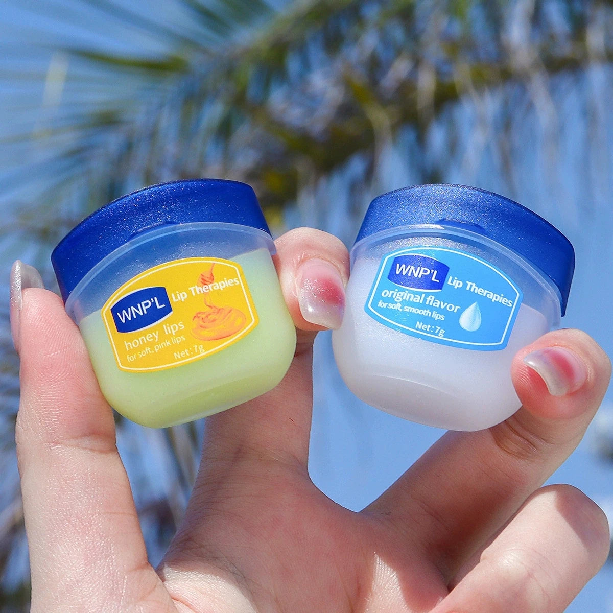 Natural Plant Lip Balm Set 6pcs – Moisturizing & Plumping
