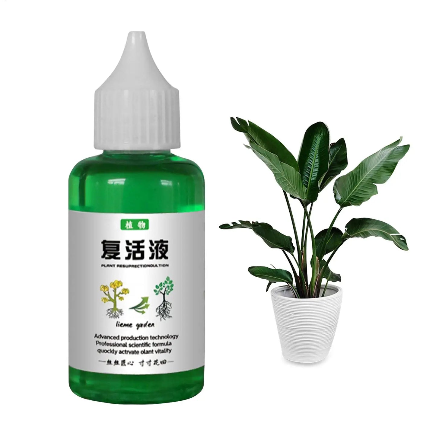 Plant Revitalizer Liquid – Organic Nutrient Solution for Fast Growth