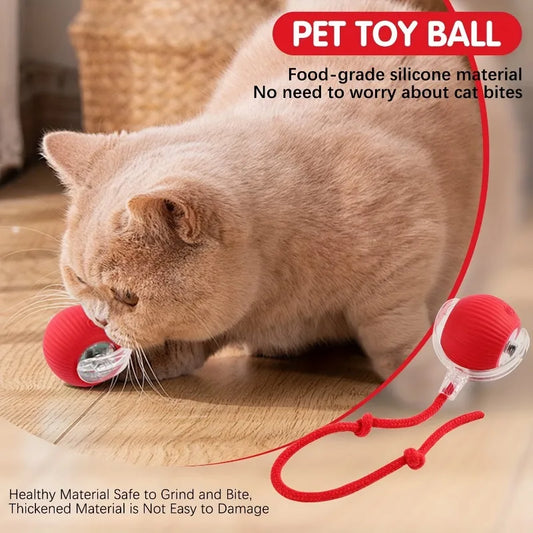 Electric Auto-Rolling Interactive Cat Ball Toy | USB Rechargeable Interactive Cat Toy Oasis Select