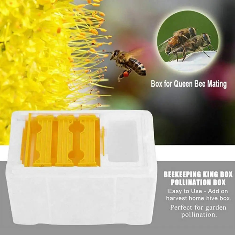 Foam Queen Rearing Mating Nuc Box – Beekeeping Supplies