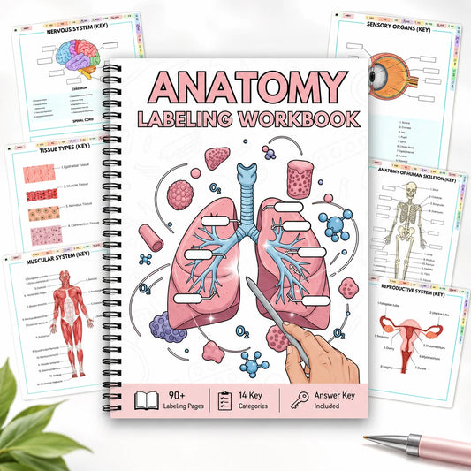Anatomy Labeling Workbook A5 Spiral-bound Study Guide 90+ Pages 14 Peaceful Pleasures Health and Wellness