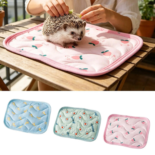 Pet Cooling Mat for Cats & Small Dogs | Summer Ice Silk Pad Pet Cooling Mat Oasis Select