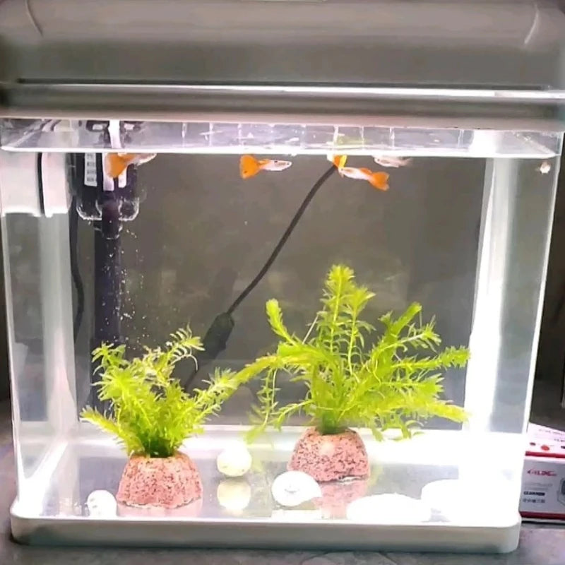 Ceramic Aquatic Plant Gravity Rings | Fish Tank Decor Set