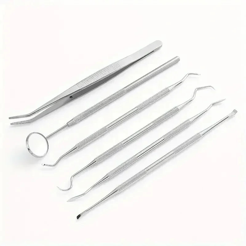 Stainless Steel Dental Care Kit – 6-Piece Oral Tool Set