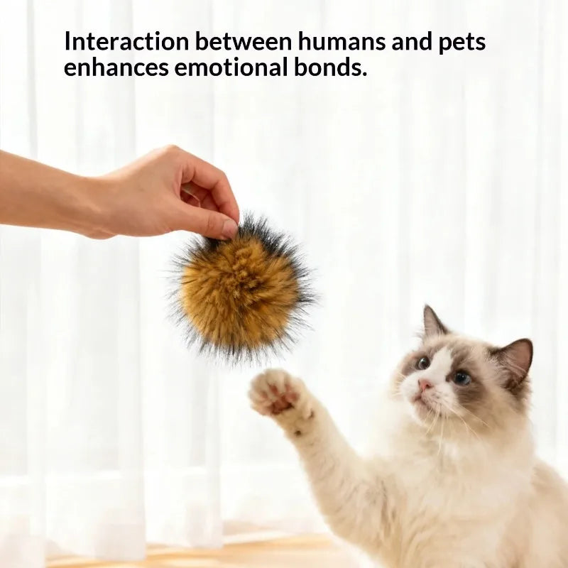 Silent Wool Ball Cat Toys – Interactive Self-Play 1–10 Pack