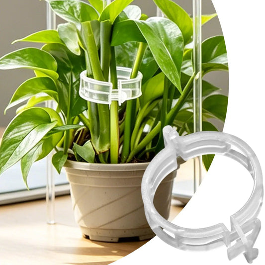 100-Pc Plant Support Clips – Trellis Clips for Climbing Plants Garden Support Clips Oasis Select