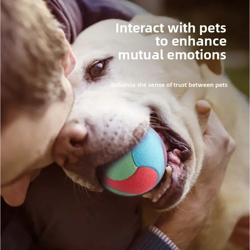 Bite-Resistant Rubber Bouncy Ball Dog Chew & Dental Toy