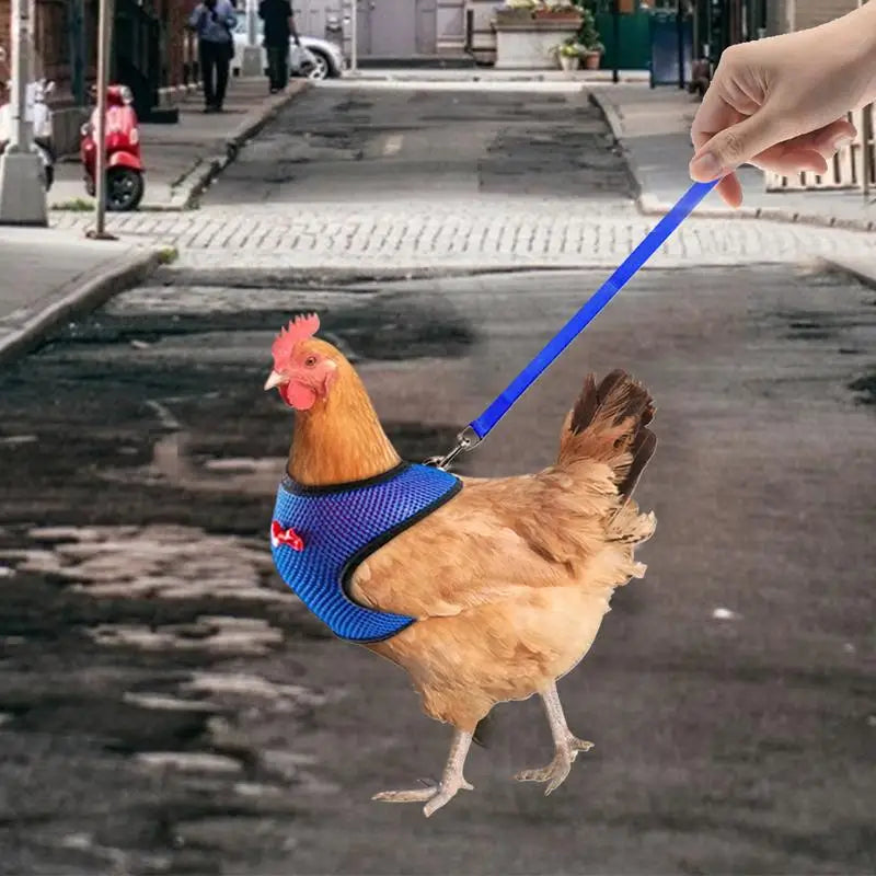 Chicken Harness For Hens Adjustable Chicken Traction Rope Harness Comfortable Hen Vest Pet Supplies 3.6Ft Training Rope For Hens Peaceful Pleasures Health and Wellness
