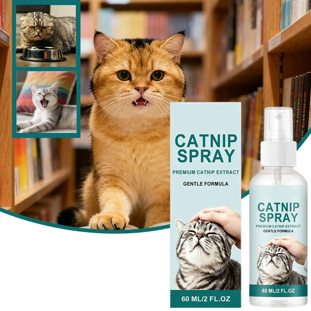 Catnip Spray for Cats – Calming, Stress Relief & Play