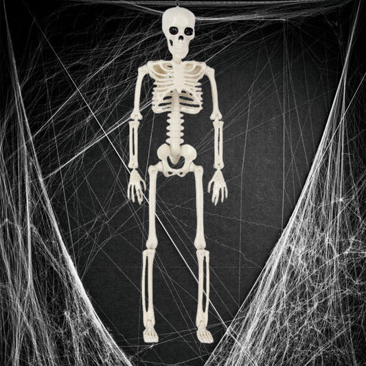 Halloween Life Size Skeleton Full Body 40cm Posable Halloween Skeleton Decor with Movable Joints for Haunted Houses Cemeteries Peaceful Pleasures Health and Wellness
