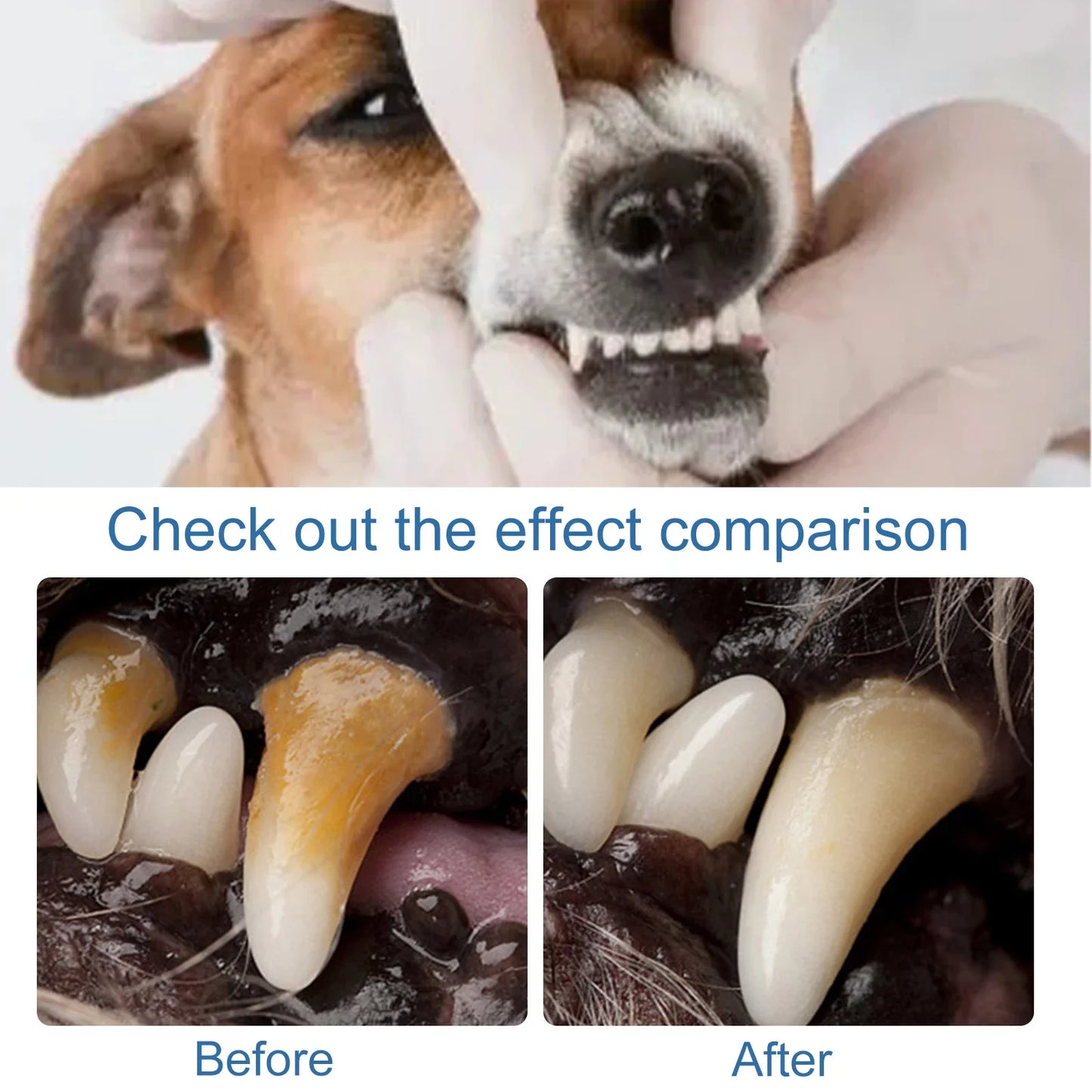 YEGBONG Pet Oral Foam Spray – Tartar Remover & Fresh Breath