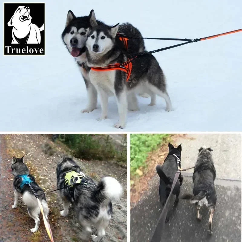 Truelove Reflective Nylon Double Dog Leash For Two Dogs Coupler No Tangle Pet Leash For All breed Training Running Dropshipping Peaceful Pleasures Health and Wellness