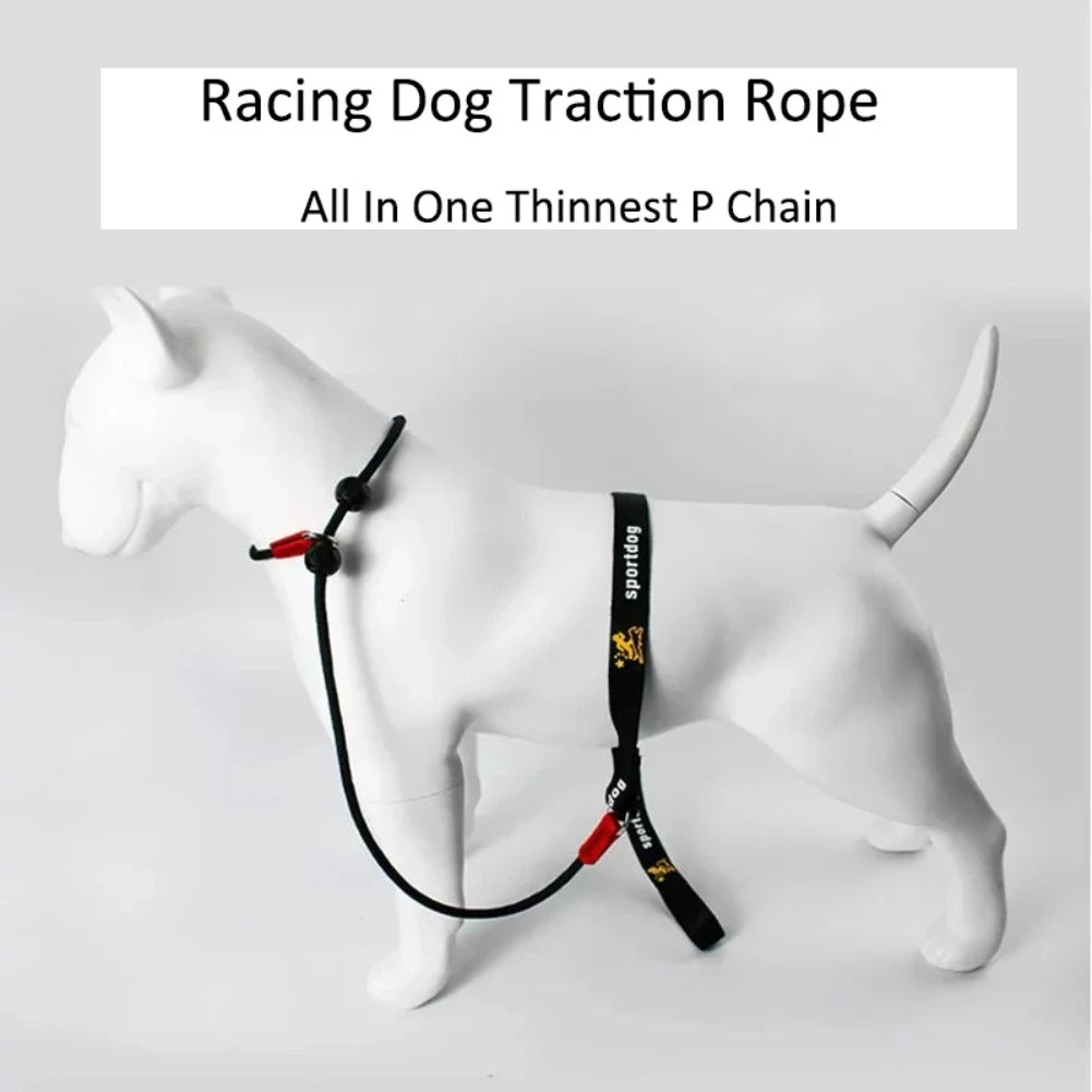 2-in-1 Slip Lead Dog Training Leash & Collar – 150cm Nylon
