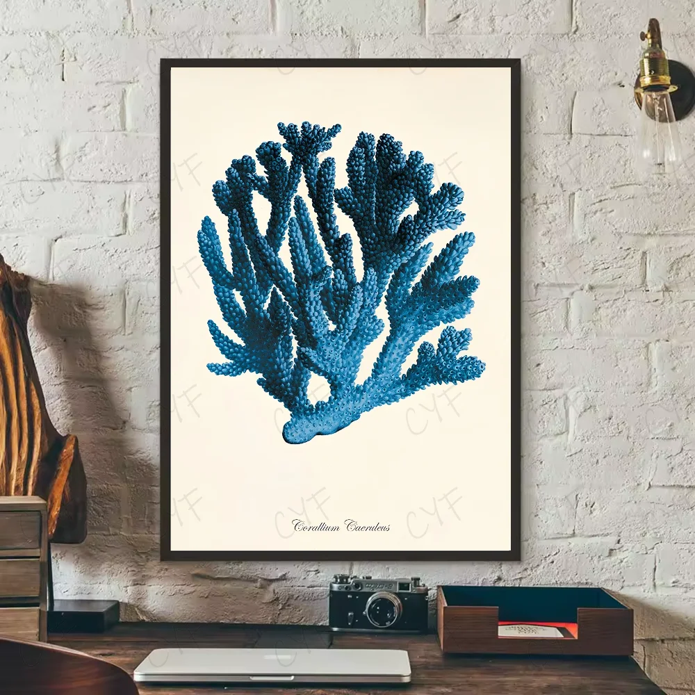 Blue Sea Creature Coral Shrimp Poster HD art sticky wall waterproof home living room bedroom bar aesthetic decoration Peaceful Pleasures Health and Wellness z8 30X40cmNoframe