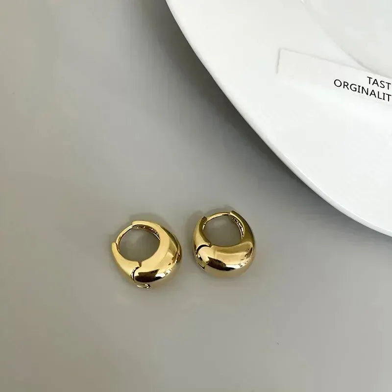 925 Sterling Silver Korean Geometric Hoop Earrings – Women