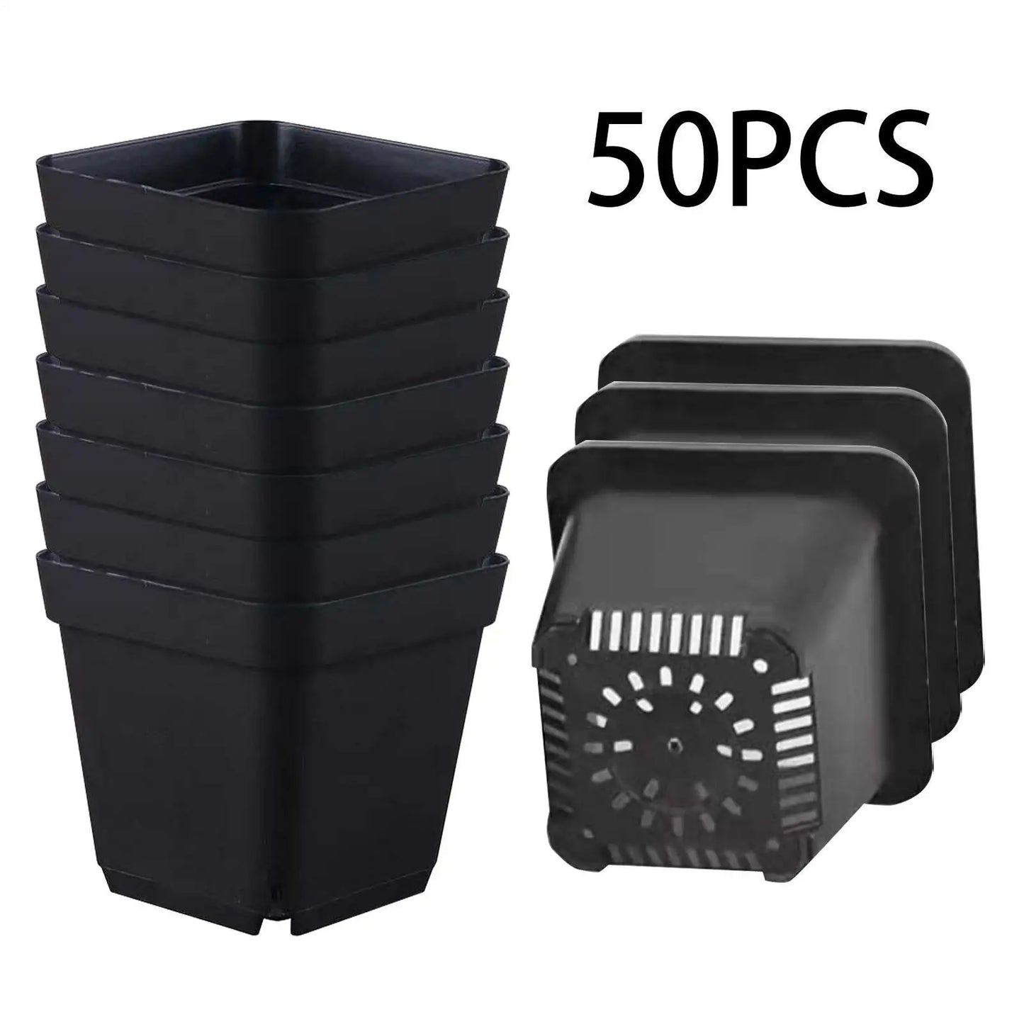 50-Pack Square Seedling Starter Pots with Drainage | Garden Kit