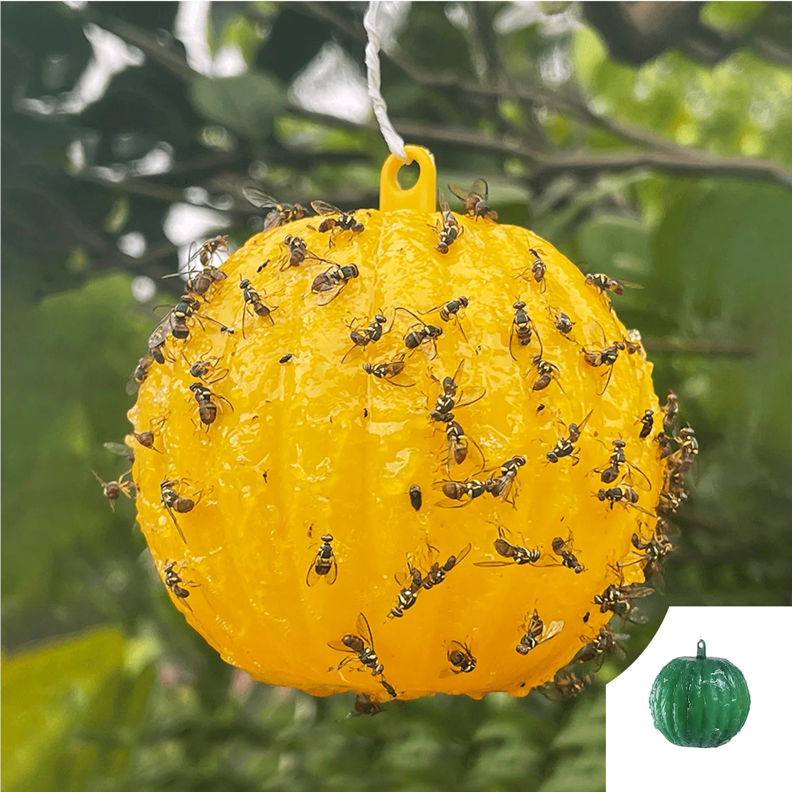 Waterproof Dual Color Fly Catching Ball Visual Attraction Design Durable Adhesive Orb Trap Wandering Winged Pests Practical Farm Peaceful Pleasures Health and Wellness