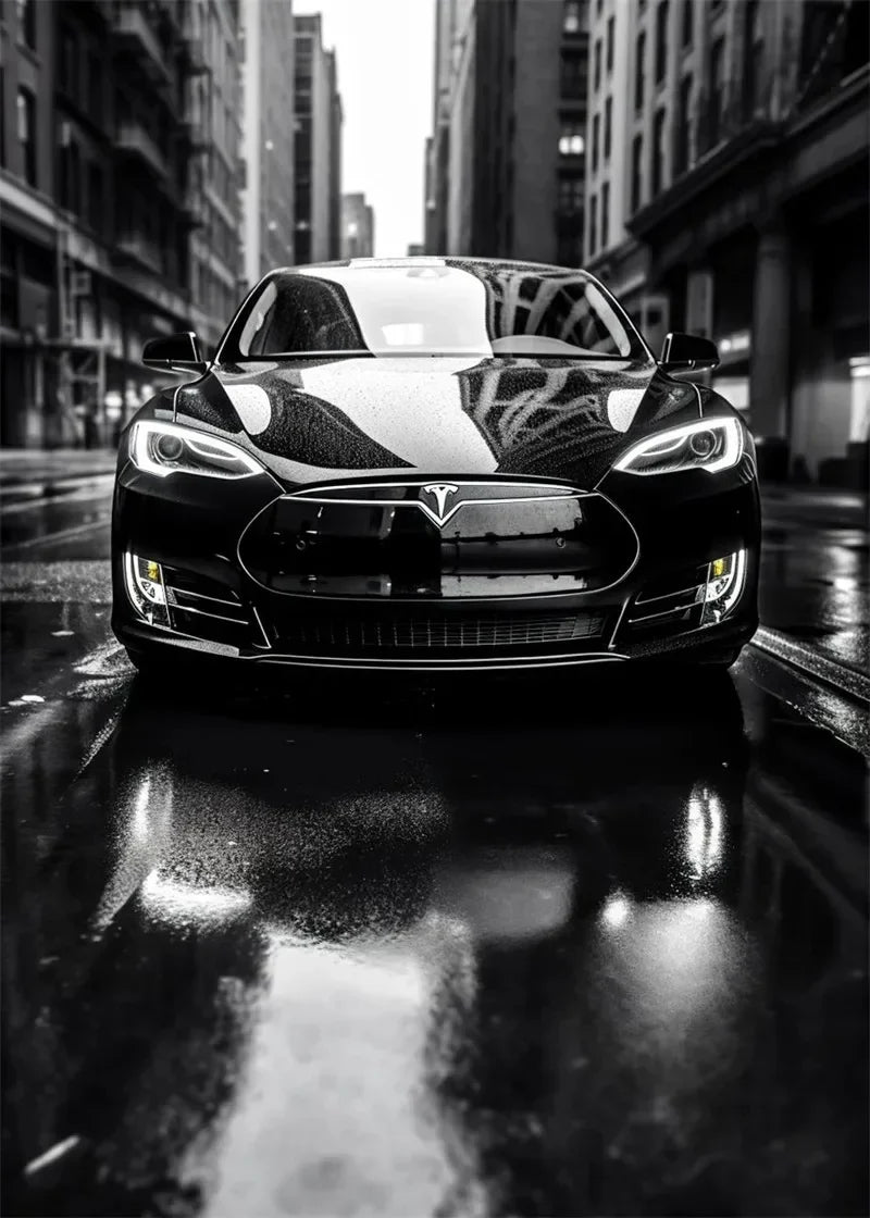 Black and white luxury car canvas super car canvas mural painting living room home aesthetics wall decoration art Peaceful Pleasures Health and Wellness 8 40x50cm