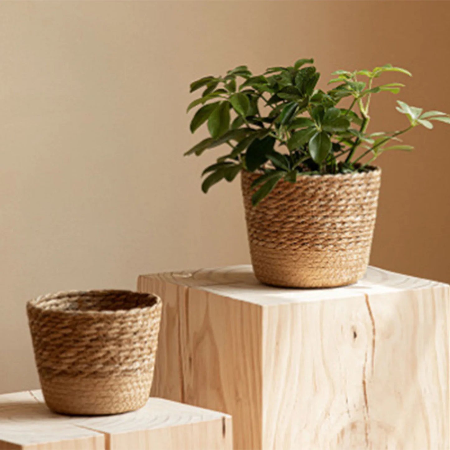 Handmade Rattan Wicker Woven Planter Basket | Flower Pot Storage