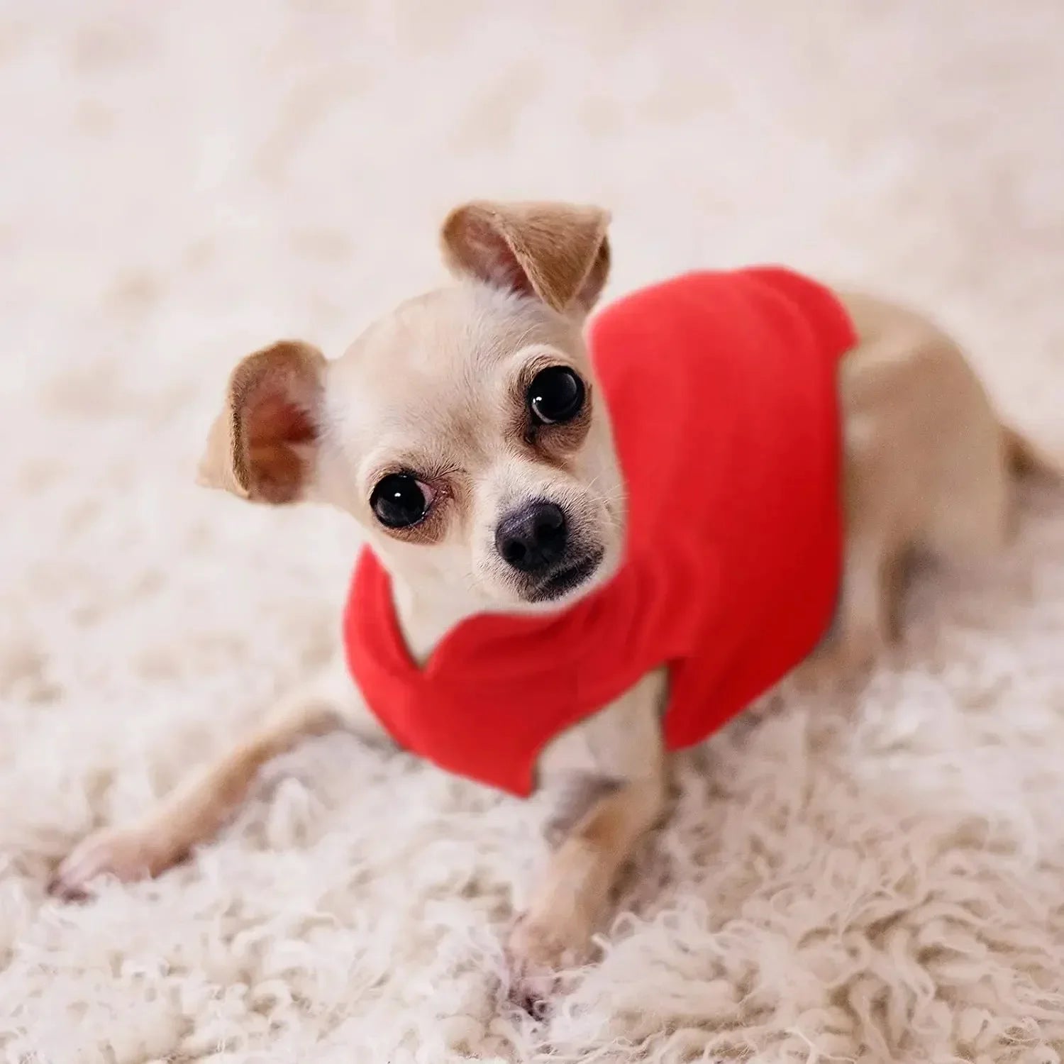 Winter Dog Clothes Warm and Pet Printed Dog Fancy Dress Small Clothing Coat Jackets Sweater Large. Medium Hooded Cute Shirt Home Peaceful Pleasures Health and Wellness