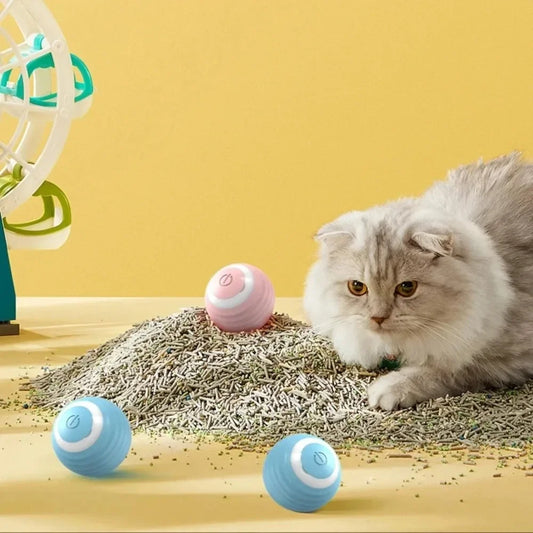 Electric Auto-Rolling Interactive Cat Toy Ball | USB-C Interactive Cat Toy Peaceful Pleasures Health and Wellness