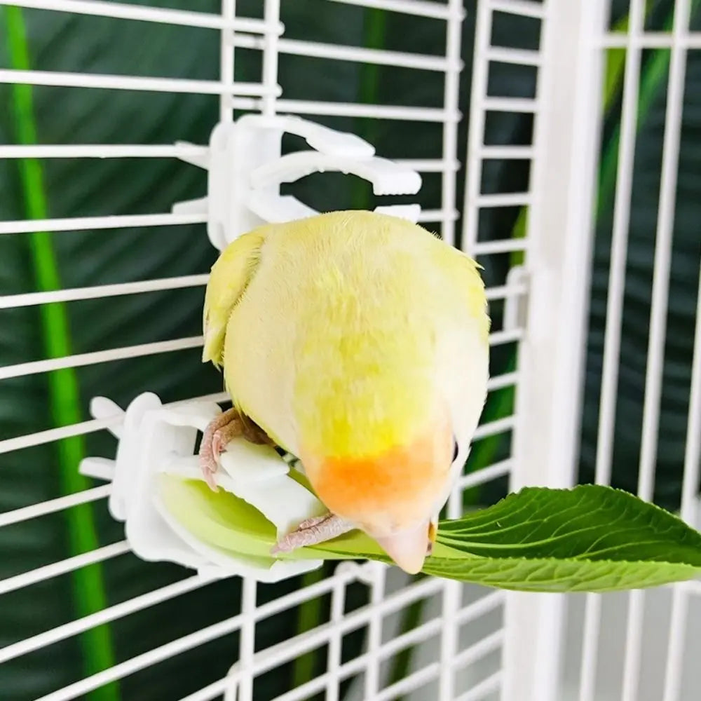 6-Pack Parrot Bird Cage Food Clips – Fruit & Vegetable Holder