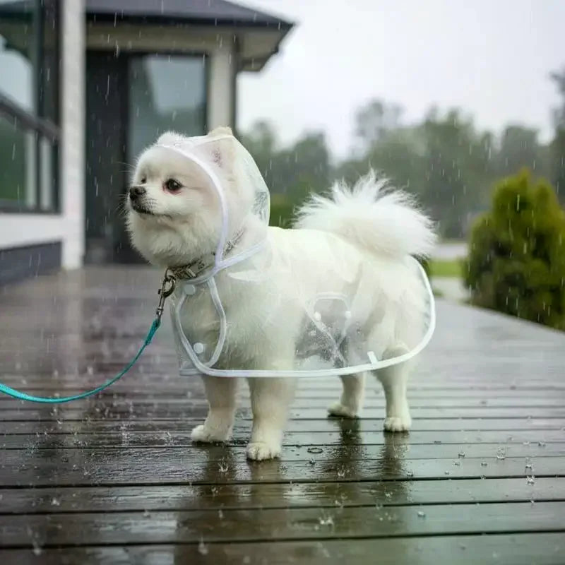 Transparent Waterproof Dog Raincoat XS–4XL | Clear PVC Pet Coat