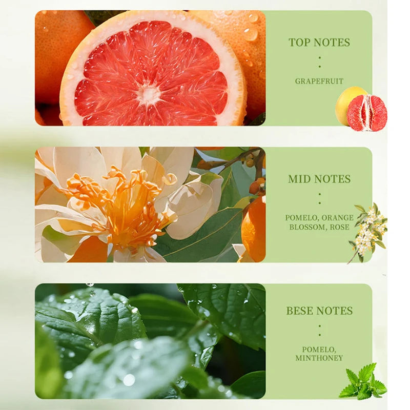 Eelhoe Pomelo Citrus Eau de Toilette for Women | 50ml