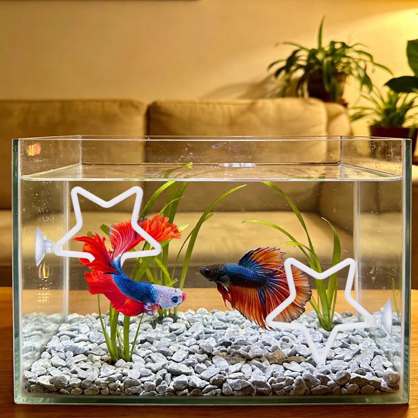 Betta Exercise Ring with Filter Balls 2PCS Interactive Enrichment Toy, Fish Play Training for Swimming Feeding, Aquarium Toy Peaceful Pleasures Health and Wellness