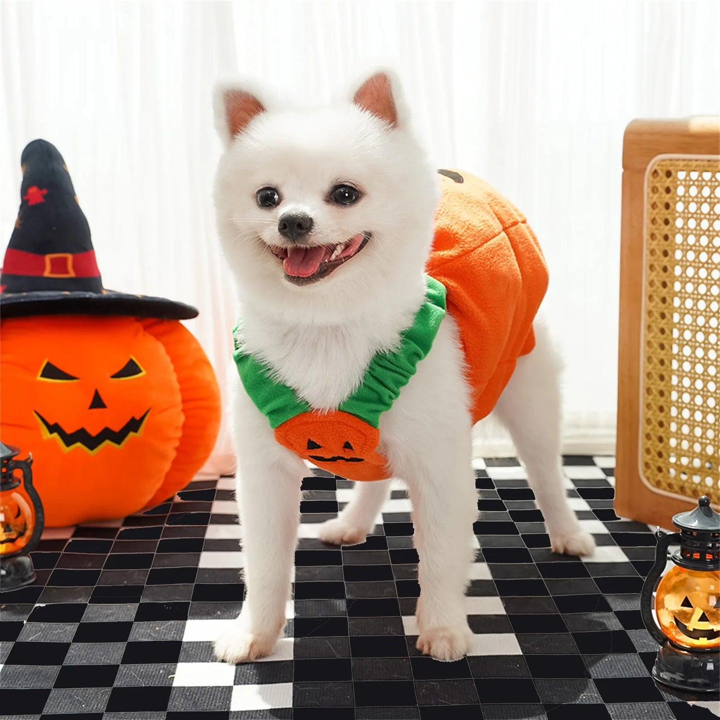 Halloween Pumpkin Costume for Cats & Small Dogs – Funny Pet Outfit