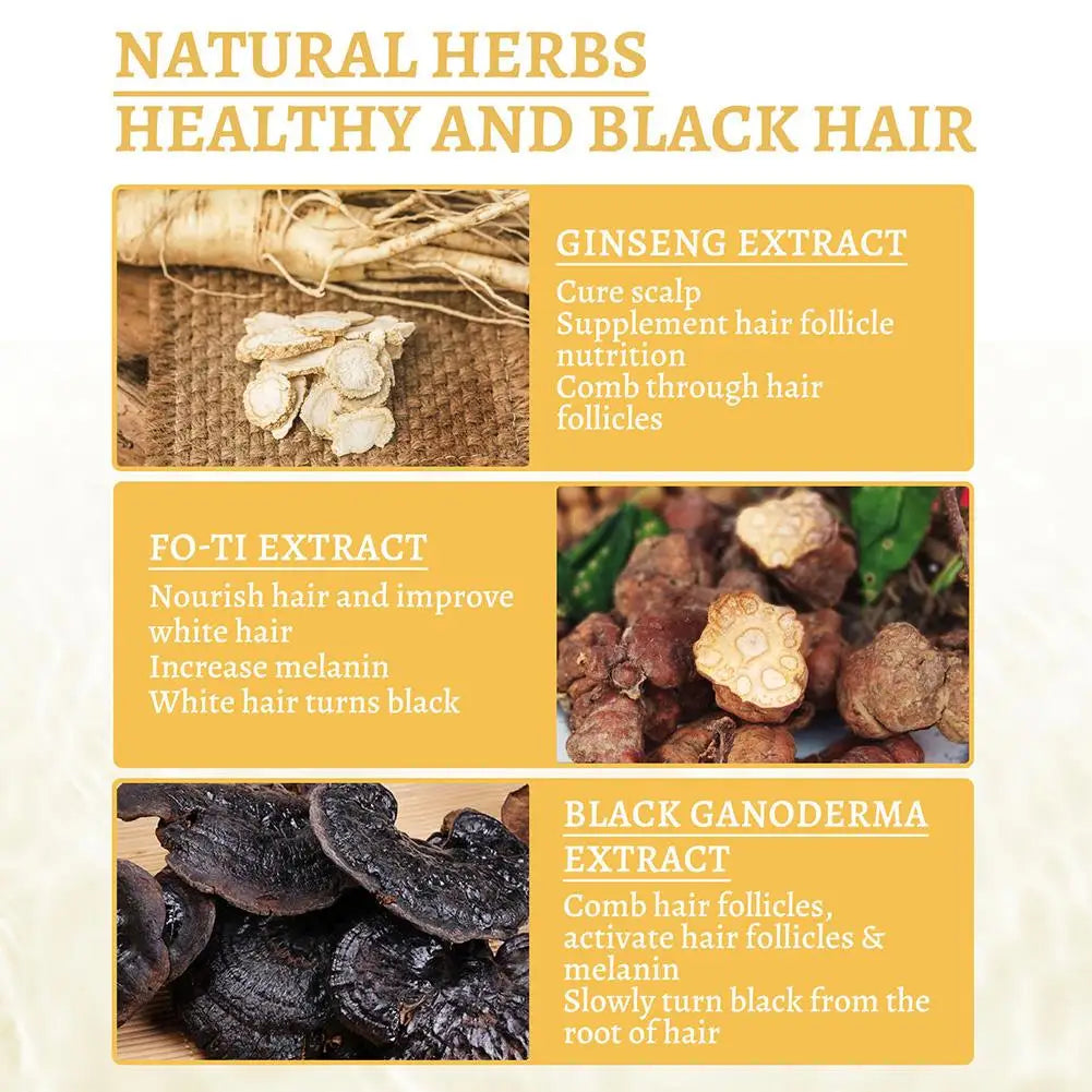 White To Black Hair Oil for Repairing From White To Black Nourishing Moisturizing Scalp Herbal Lotion Liquid Repair Hair Care Peaceful Pleasures Health and Wellness